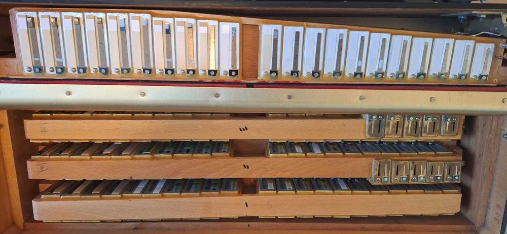 Weltmeister Cantus V