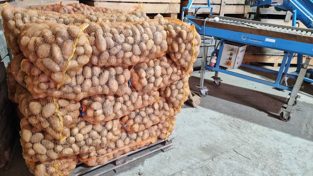 Cartofi de consum 55+ albi si rosii Calitatea I-a