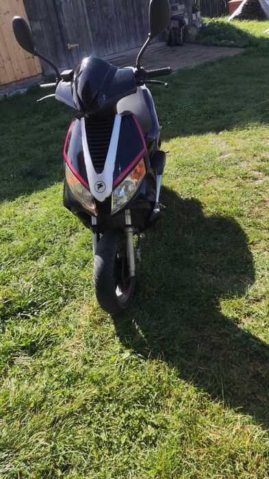 Scuter pegasus 50cc