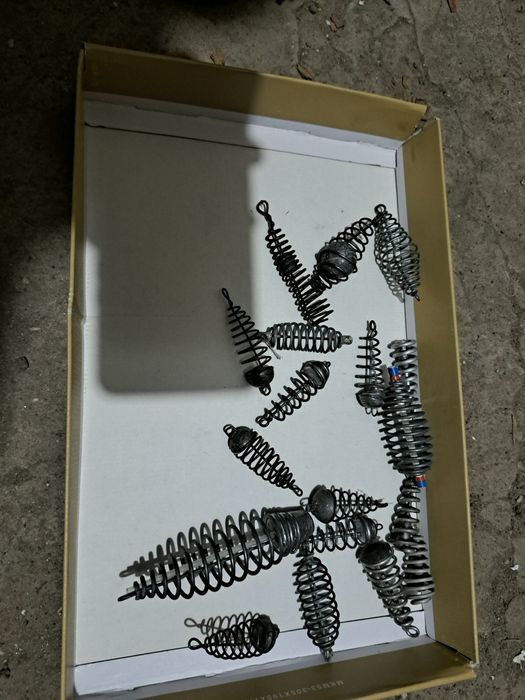 Bete pescuit , plase