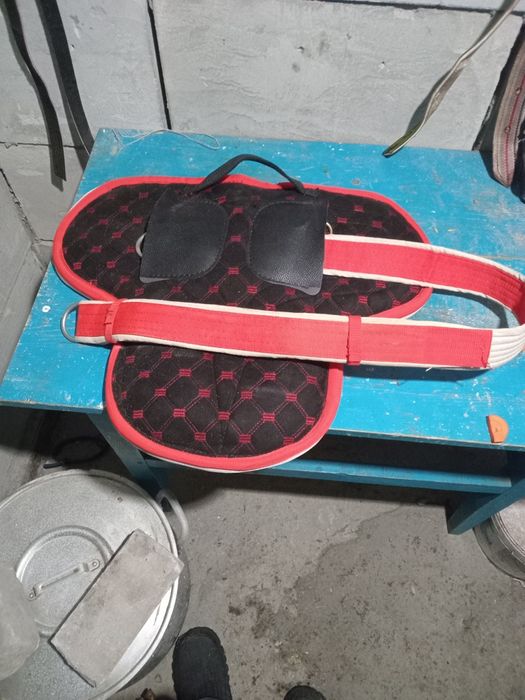 Продам Бабочка(атқа мінгенге)