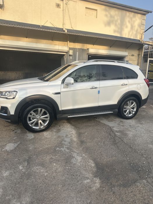 Каптива Сотилади 2013