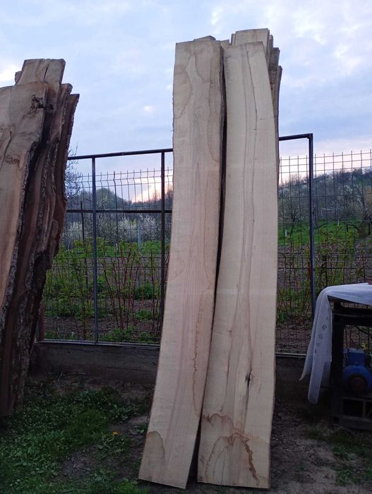 Dulapi Frasin si Nuc uscat