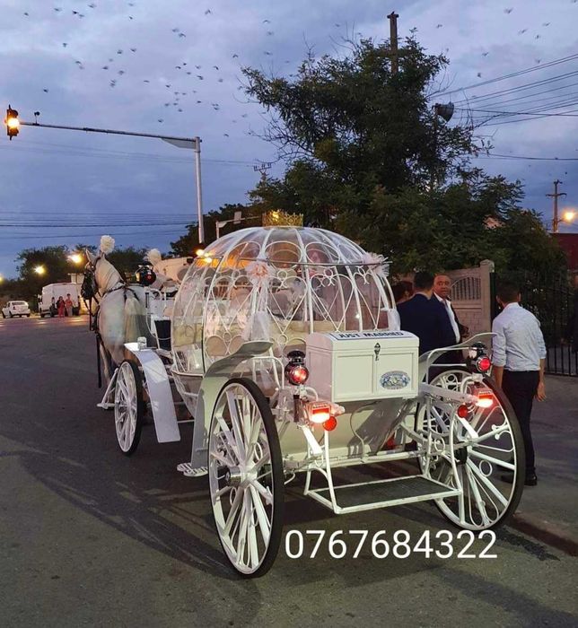 Trasura Nunta Mireasa Cai Foto Video