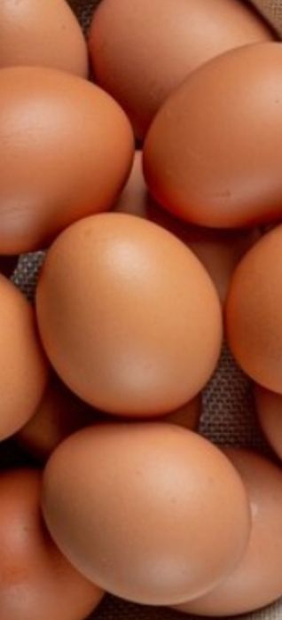 Продается яйца домашние свежие.