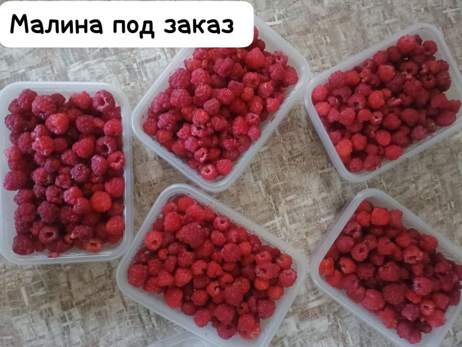 Малина дачная своя