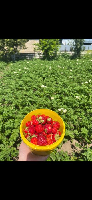Продам дачу с домиком, Актобе