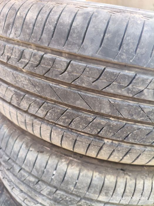 Шины  225/55/19R