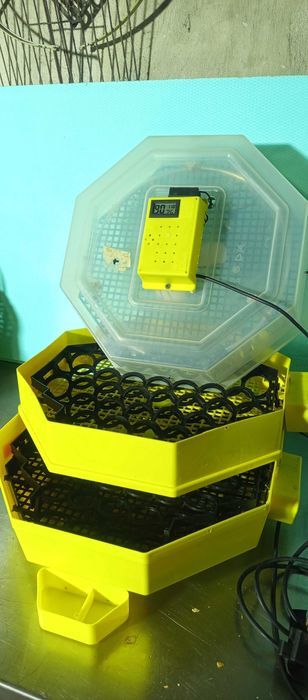 Автоматичен двуетажен инкубатор Cleo 5