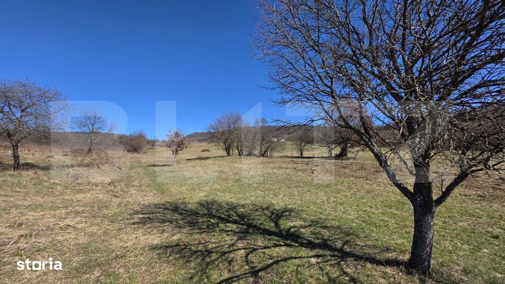 Teren de vanzare de 8,567MP in zona: Tarpiului
