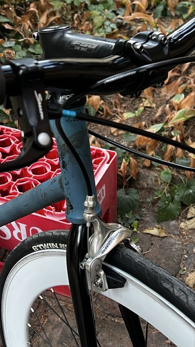 Single speed/Fixie