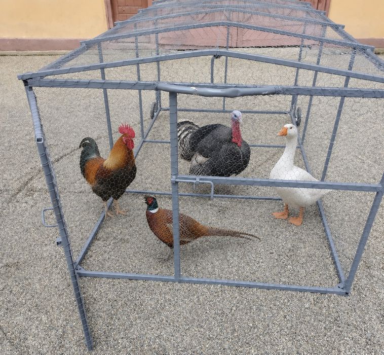 Țarc mobil pentru.. Pui  găini gâște rațe iepuri