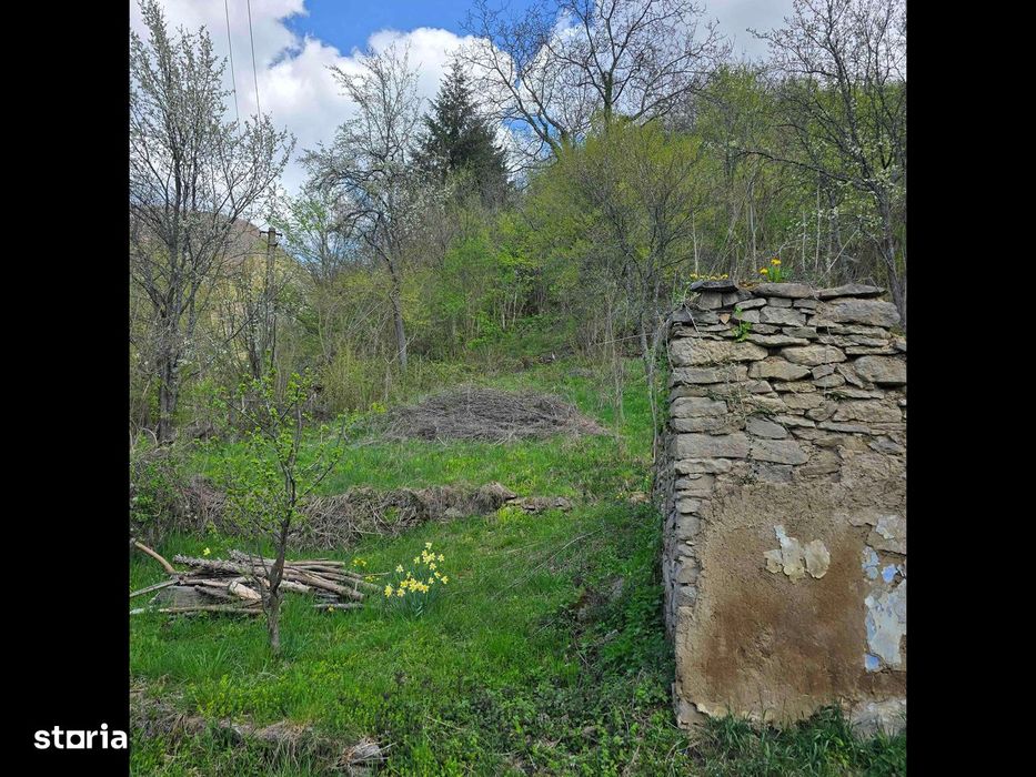 Teren de vis caută proprietar.