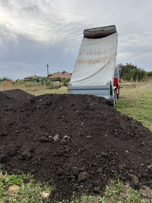 Pamant negru vegetal si nisip natural