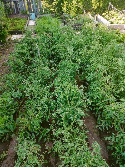 Продам дачу по Красноярском трассе
