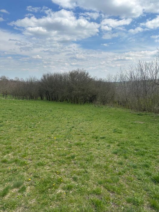 Vand teren intravilan parcela 2000 mp