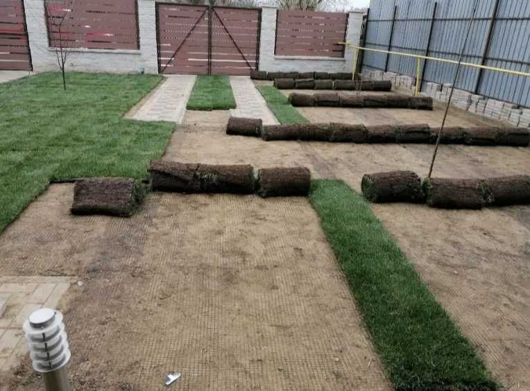 Gazon Rulou cu Garanție de Prindere 2 Anii – Servicii Complete de Montaj