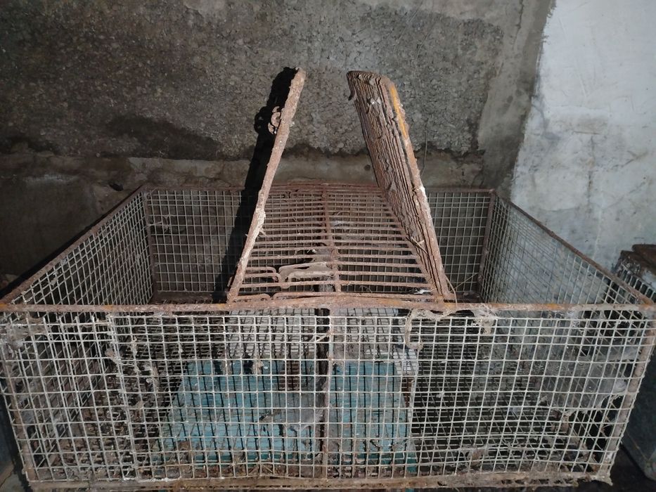 Продам    клетки