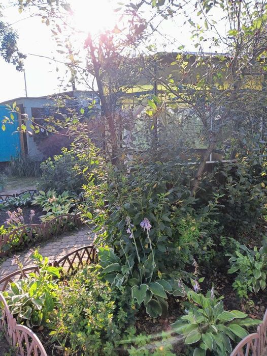 Продам дачу в хорошем месте!