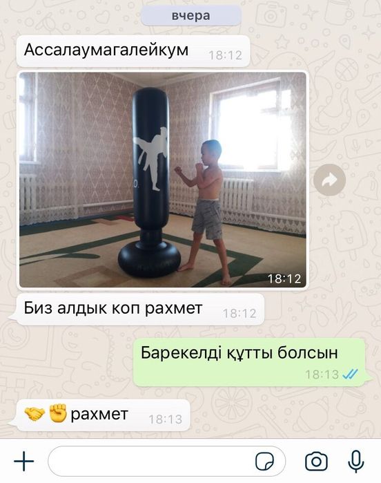 Боксерская груша для детей! Чемпионский Набор