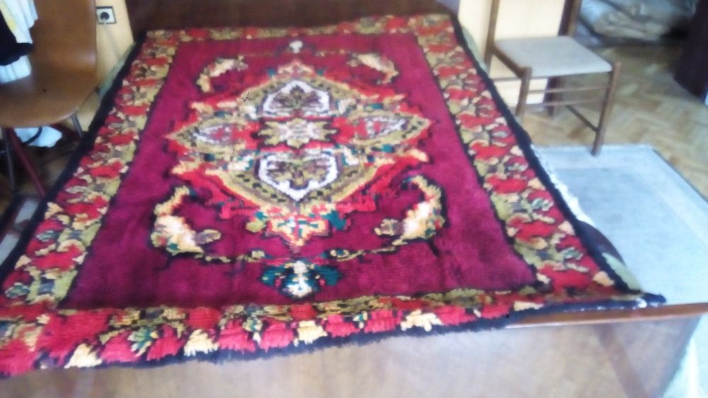 китеници - нови