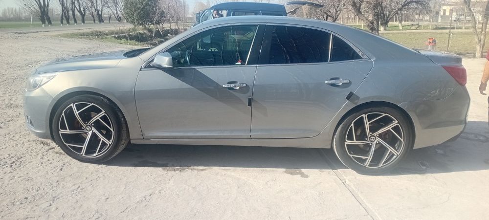 20 дика балон зор