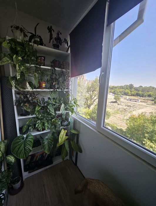 Apartament zona Circumvalatiunii