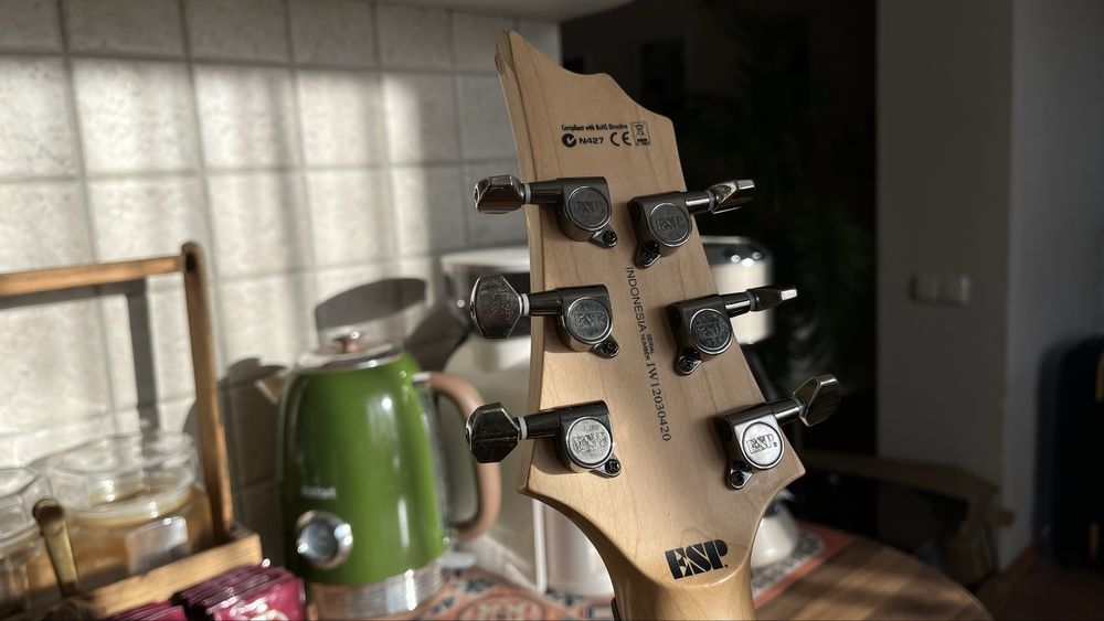 Электрогитара ESP LTD H-101fm