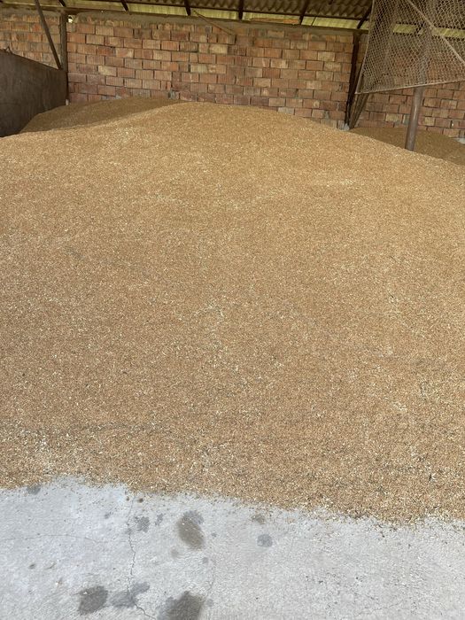 Grau Panificatie Renan Rubisko Anapurna C1