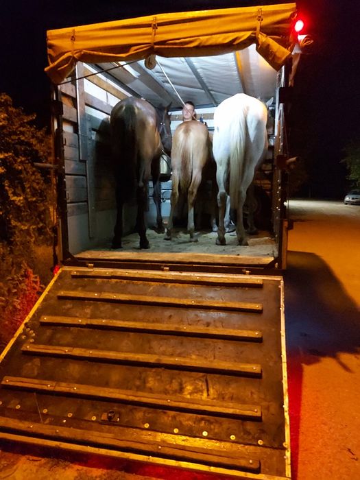 Извършвам превоз на животни