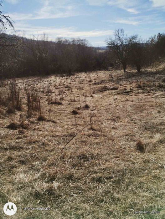 Продава се Парцел в с. Косача, Област Перник - 8800 кв.м за 2 €/кв.м - Снимка #2