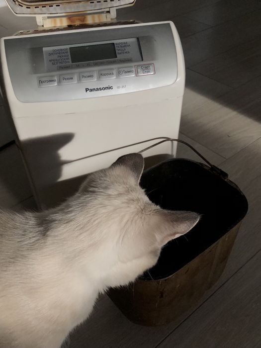 Хлебопечка Panasonic SD-257