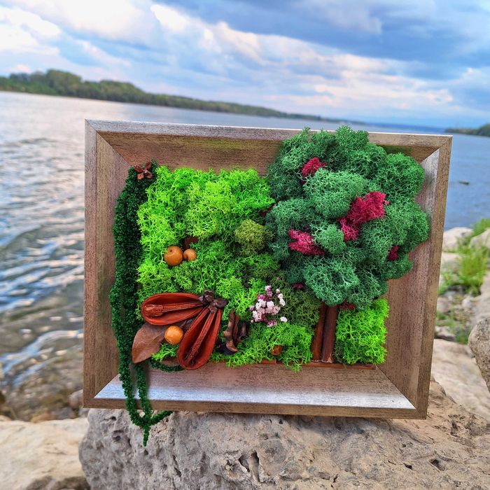 Декорации със скандинавски мъх