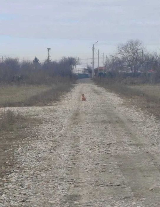 Teren de vânzare intravilan