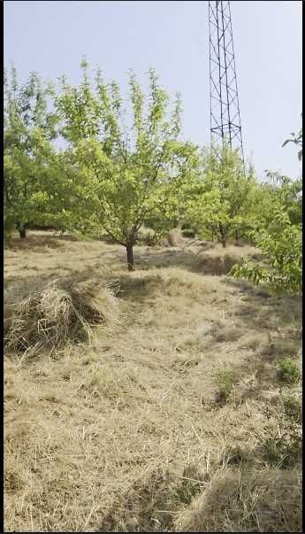 Продаётся 2 участка в Кумушкане.
