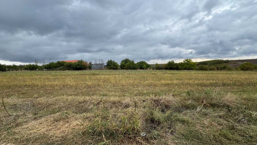Teren Intravilan 1400 MP in Parcul National Comana,Vlad Tepes,Giurgiu