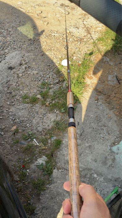 Lanseta baracuda