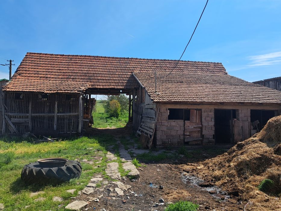 Casă – Lugoj - Vedere 4