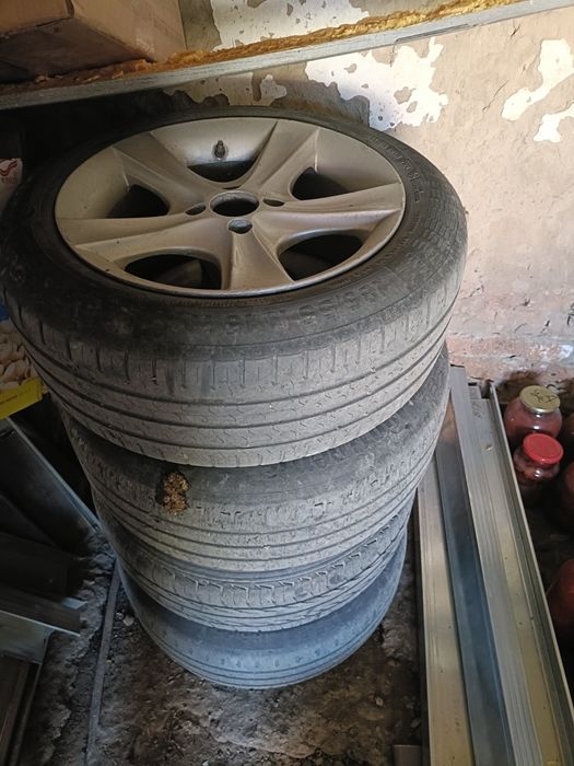 Титан  и пакришка