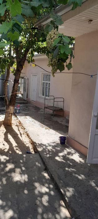 Янгиюлда центрда уйим сотилади.