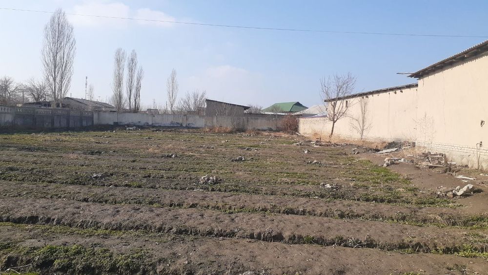 Qalqon markazidan 36 sotix turar joy sotiladi