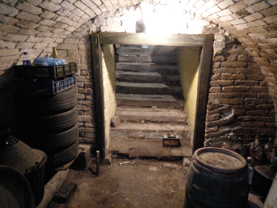 De vanzare case de vinificatie cu Teren 1100 mp