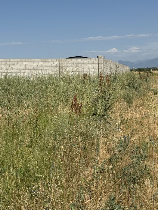 Продам К/Х ровный