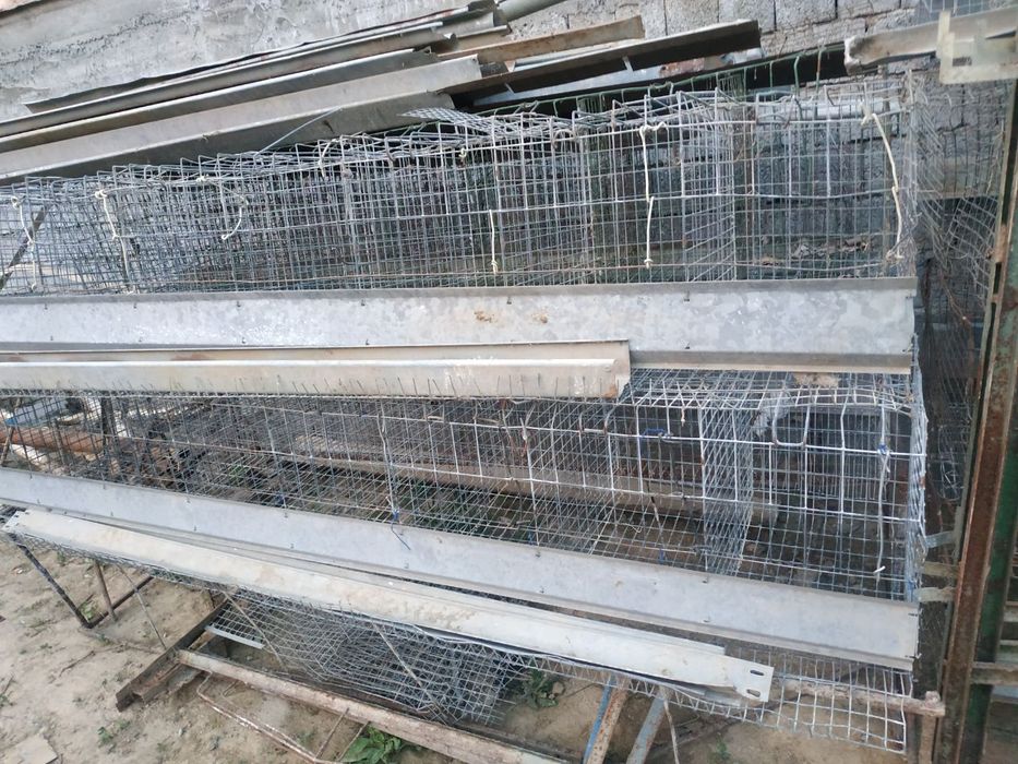 Товуқ боқадиган катак сетка вальер