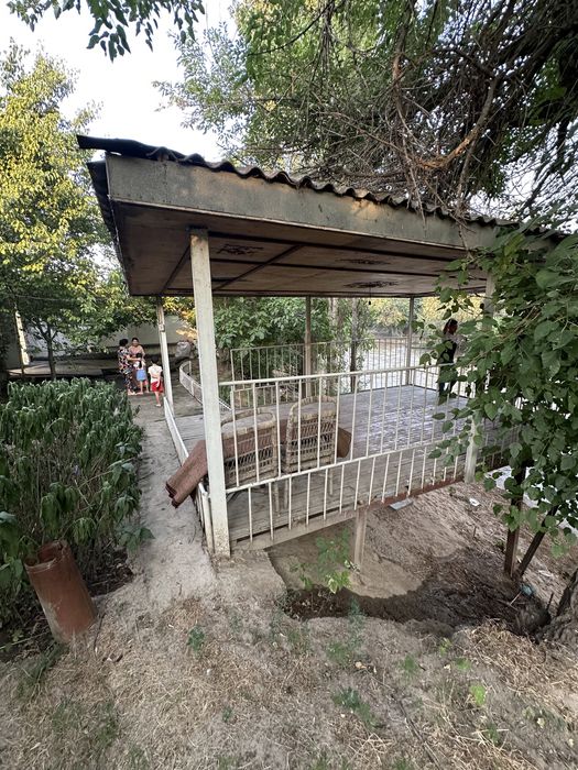 8.000$  Тойтепа , Qorasuv