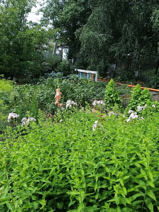 Продам  отличный дом,на ДОСААФе,