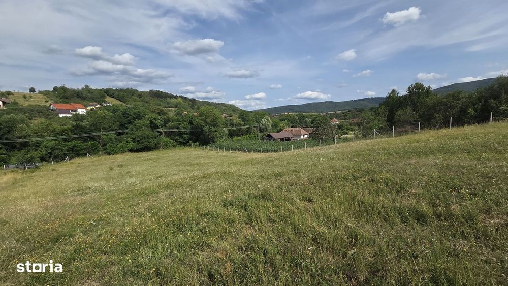 De vănzare teren intravilan Fetindia Salaj pret  1300e arul