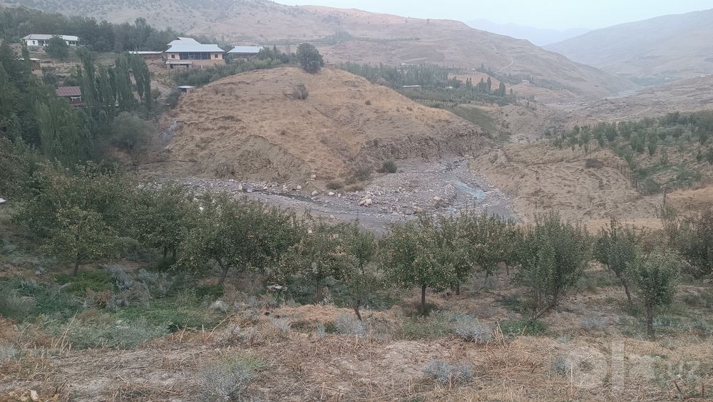 Sokga olma sotaman 1500 soʻmdan