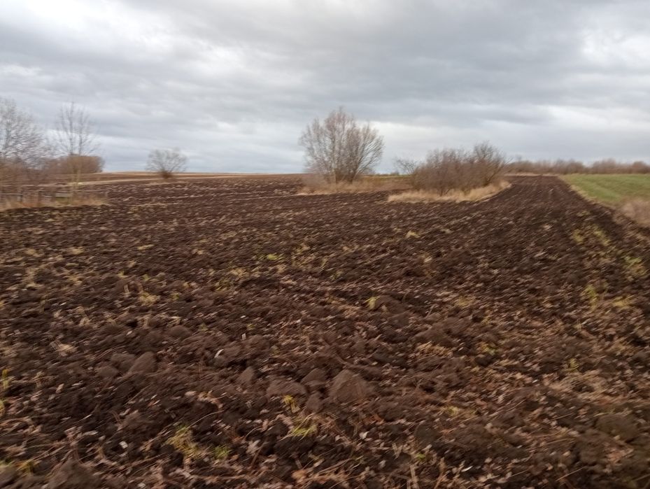 Parcelă teren intravilan 36 ari Grămești Suceava