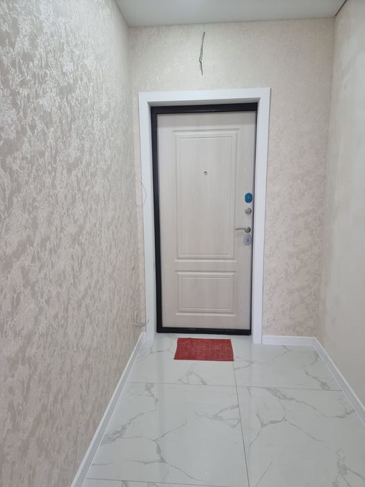 Двери      входные.